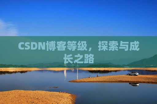 CSDN博客等级，探索与成长之路